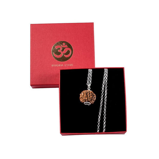 Rudraksha Rara de 8 Mukhis – Éxito y Estabilidad