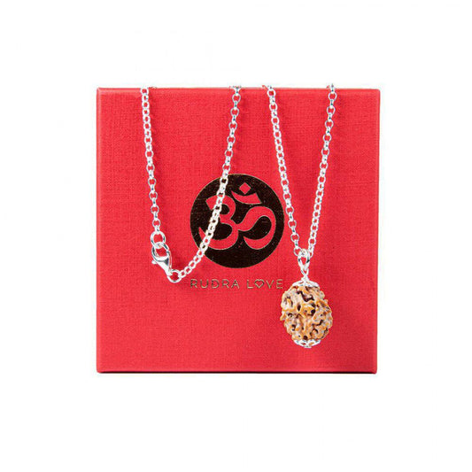 Rudraksha 2 Caras (2 Mukhi) · Camino despejado – detalle