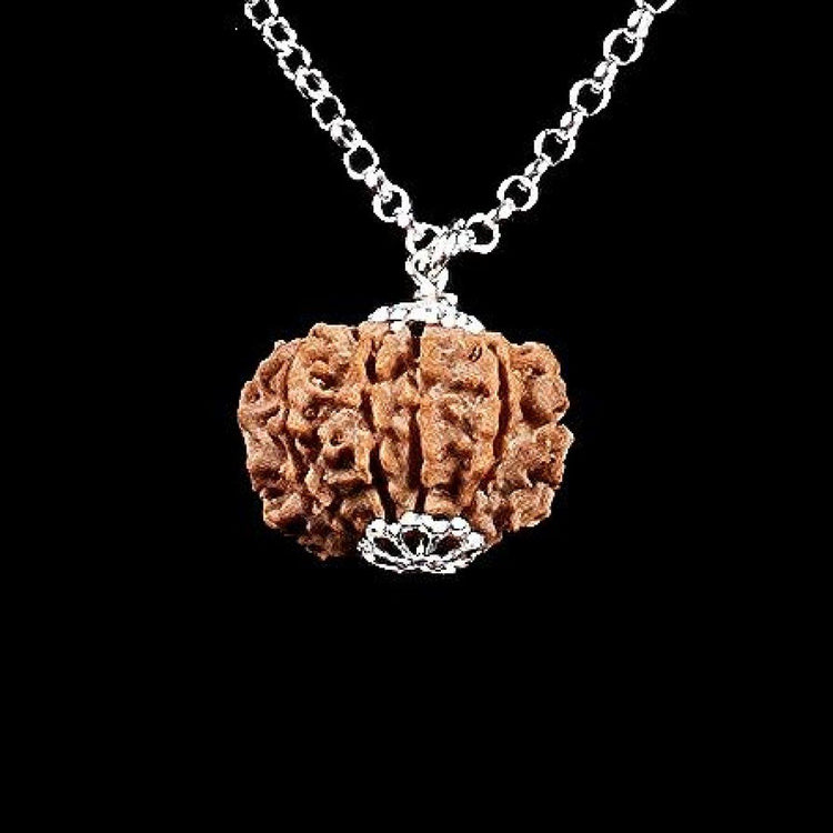 PROMOCIÓN RUDRAKSHA RARA