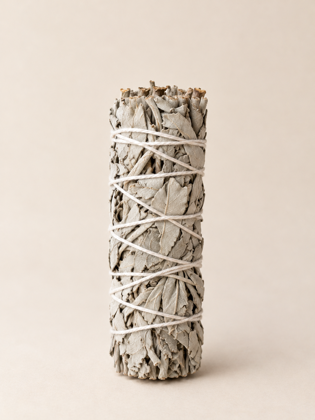Atado de Salvia Blanca