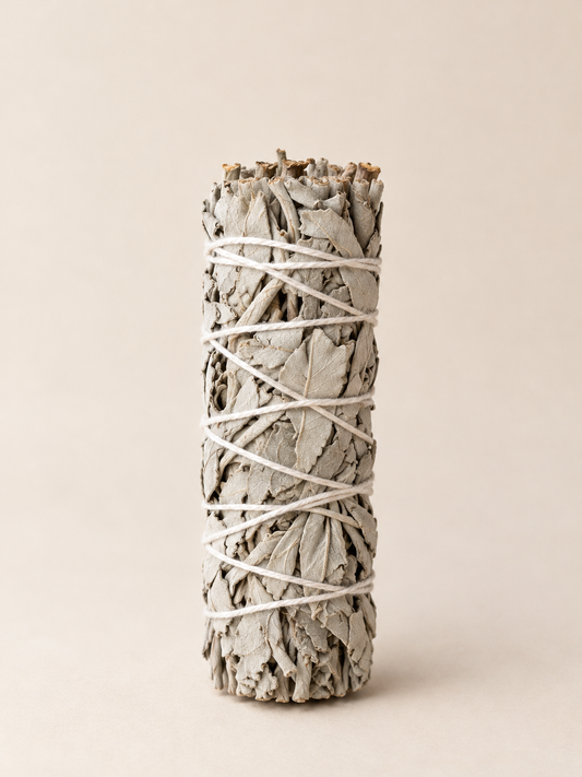 Atado de Salvia Blanca