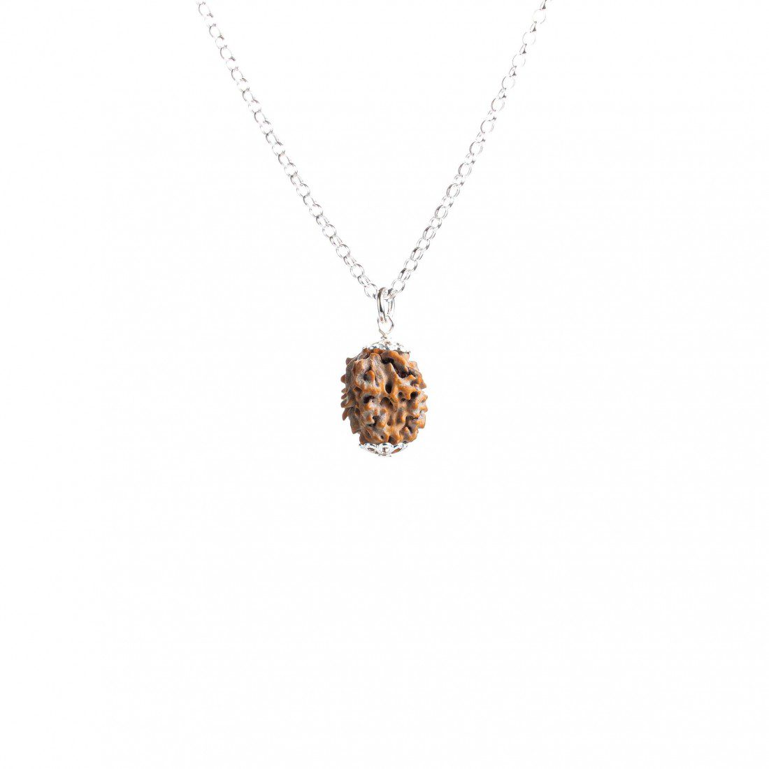 Rare 2 Mukhi Rudraksha – Obstacle Removal
