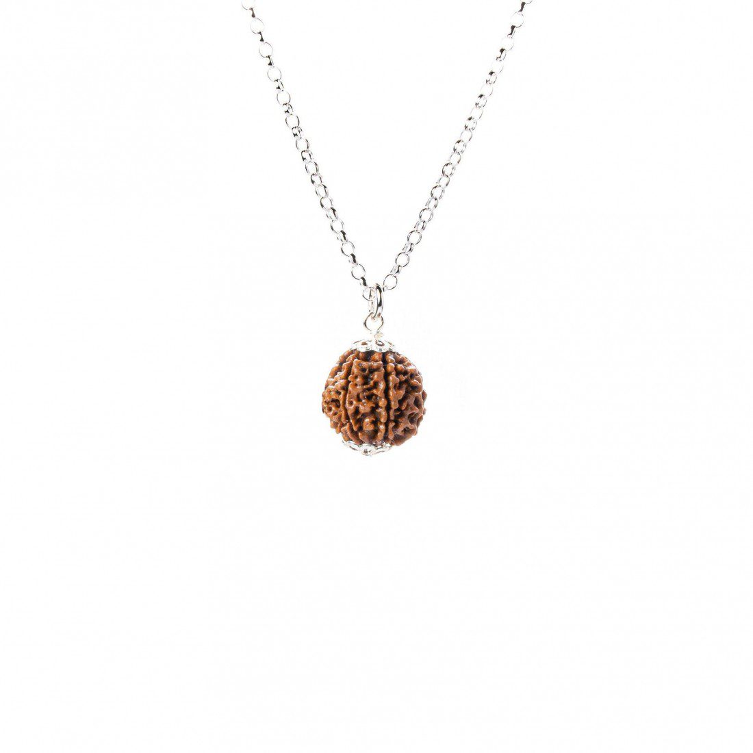 Rudraksha 8 Mukhis éxito