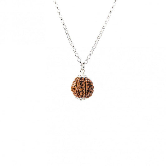 Rudraksha 8 Mukhis éxito