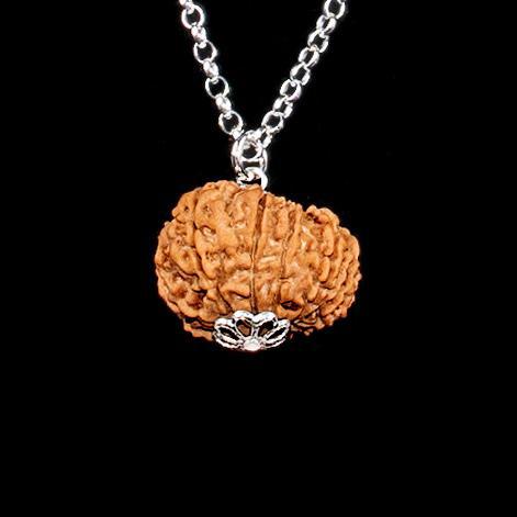 Rare 12 Mukhi Rudraksha - Leadership