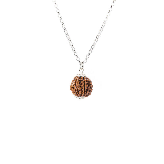 Rudraksha Rara de 8 Mukhis – Éxito y Estabilidad