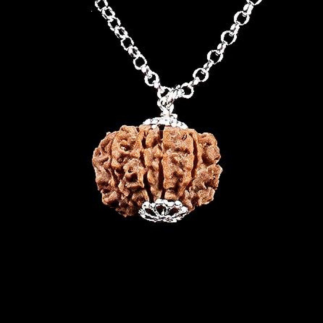 Rudraksha 10 Caras (10 Mukhi) · Protección – detalle