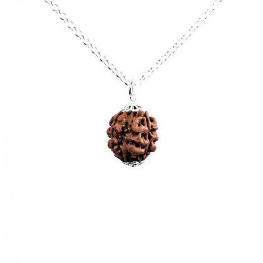 Rudraksha 3 Caras (3 Mukhi) · Equilibrio interior