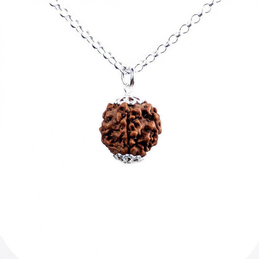 Rudraksha 4 Caras (4 Mukhi) · Sabiduría y creatividad