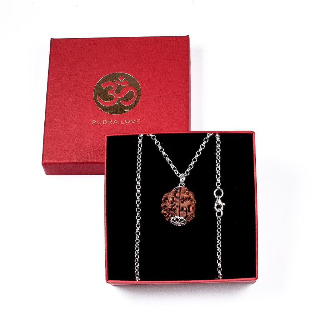 Rudraksha 4 Caras (4 Mukhi) · Sabiduría y creatividad – detalle