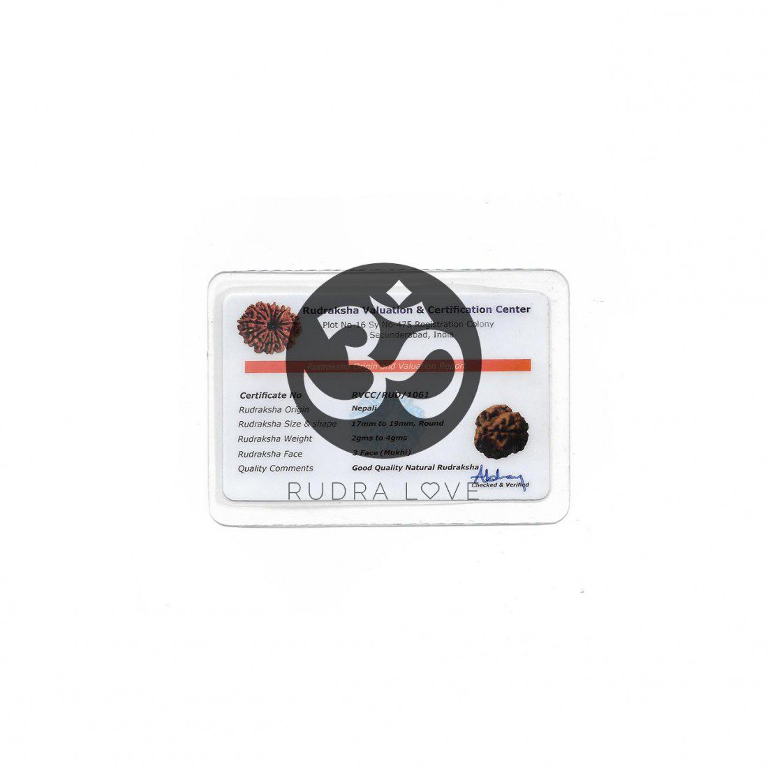 Rudraksha 4 Caras (4 Mukhi) · Sabiduría y creatividad – detalle