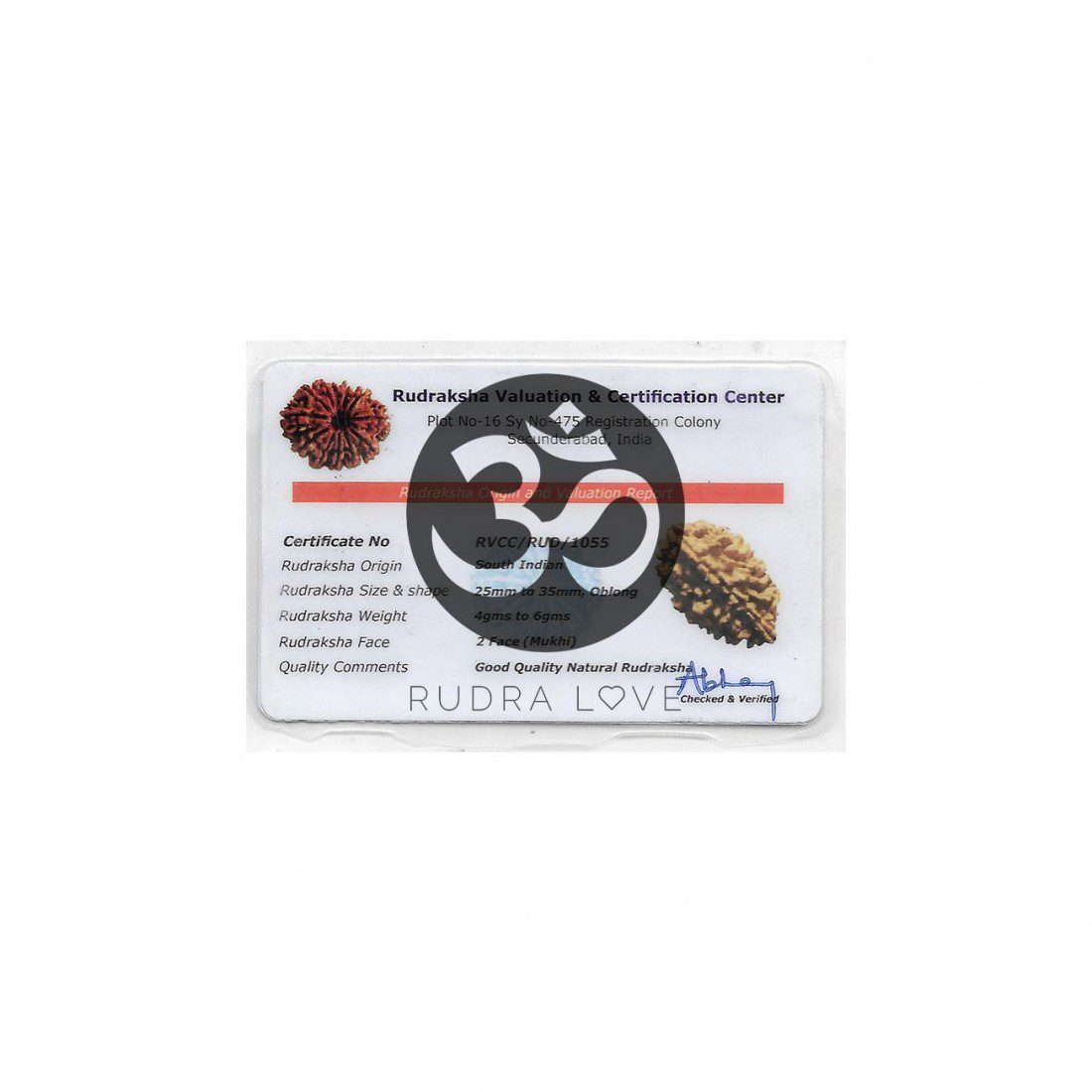 Rudraksha 9 Caras (9 Mukhi) · Transformación – detalle