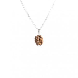 Rudraksha Rara de 2 Mukhis – eliminación de obstáculos