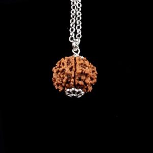 Rudraksha Rara de 7 Mukhis – prosperidad financiera y abundancia material