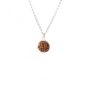 Rudraksha Rara de 8 Mukhis – Éxito y Estabilidad