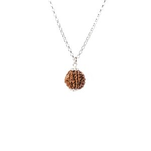 Rudraksha Rara de 8 Mukhis – Éxito y Estabilidad