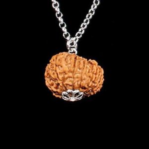 Rudraksha Rara de 12 Mukhis – Liderazgo