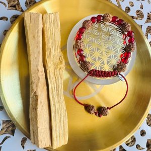 ⭐🛡️ Pack Contra Vampiros Energéticos 1